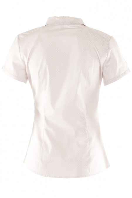 Блузка з бавовни Діловий жіночий одяг фото