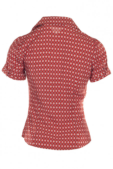 Блузка бавовняна Діловий жіночий одяг фото