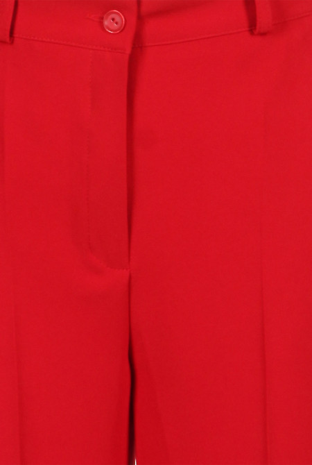 Брюки з високою посадкою Діловий жіночий одяг фото