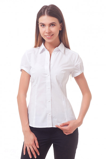 Фото Блузка-рубашка белая с коротким рукавом Деловая женская одежда